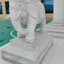 岳阳 白麻花岗岩动物异形石雕-大象